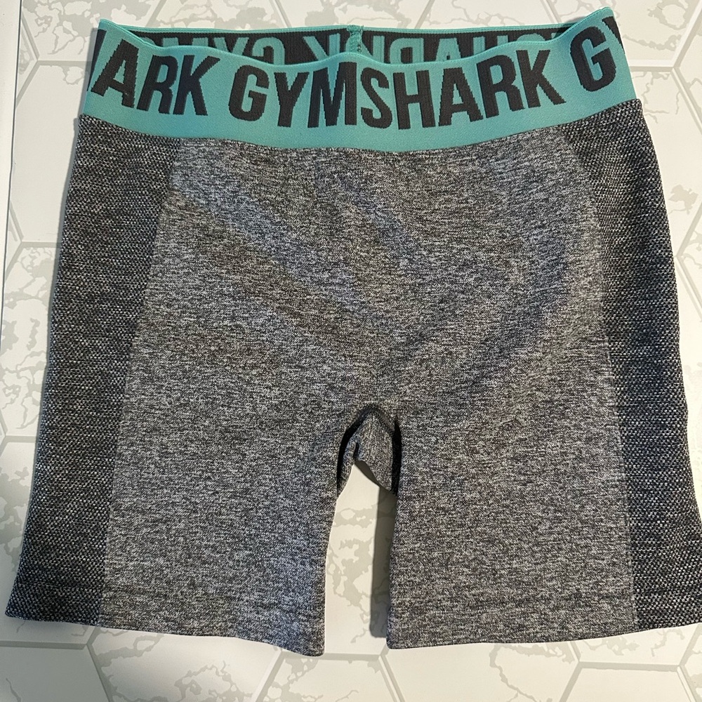 Gymshark Teal and Gray Activewear